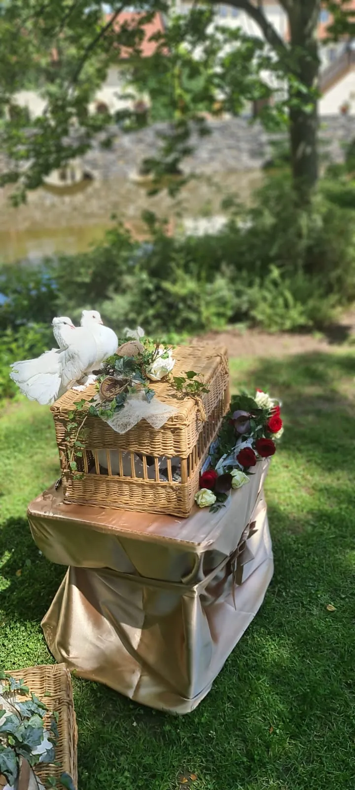 Zwei weiße Tauben sitzen auf einem geschmückten Weidenkorb im Garten